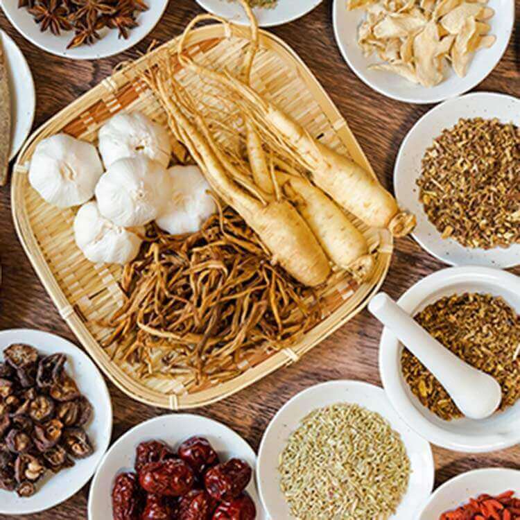 薬物療法・漢方療法のイメージ