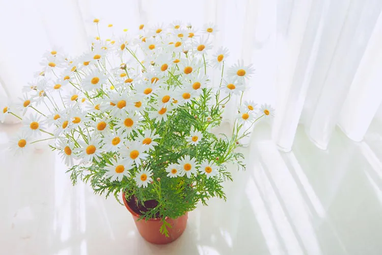 心療内科のイメージ